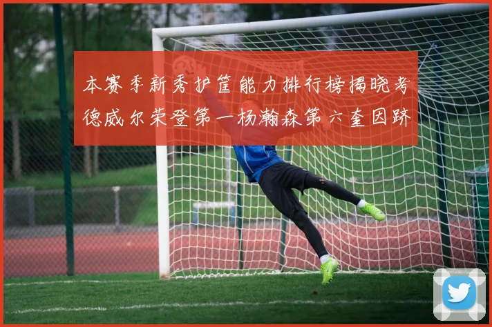 本赛季新秀护筐能力排行榜揭晓考德威尔荣登第一杨瀚森第六奎因跻身前十