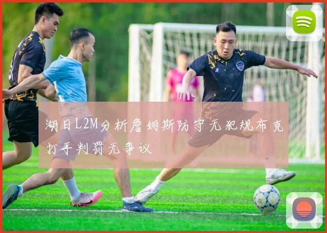 湖日L2M分析詹姆斯防守无犯规布克打手判罚无争议